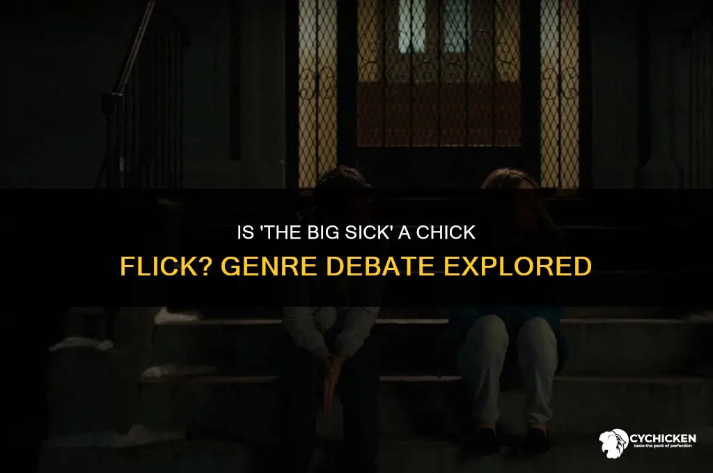 is the big sick a chick flick
