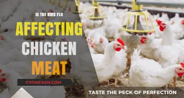 Is Bird Flu Impacting Chicken Meat Safety and Supply?