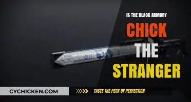 Is the Black Armory Chick the Stranger? Unraveling Destiny's Mystery