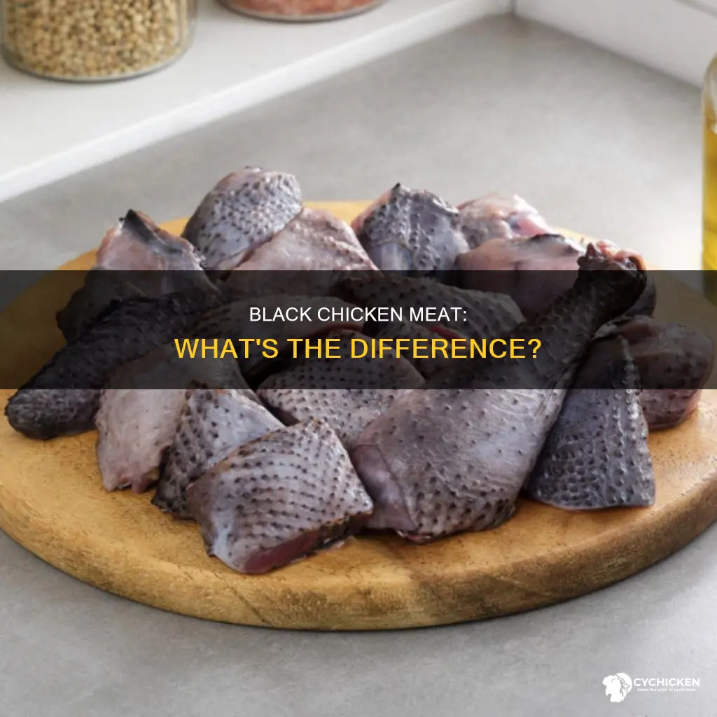 is the black chicken meat different than normal chicken