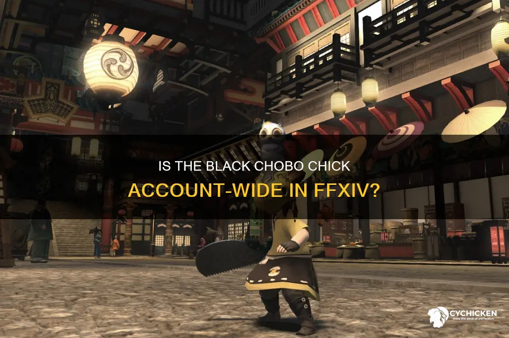 is the black chobo chick account wide