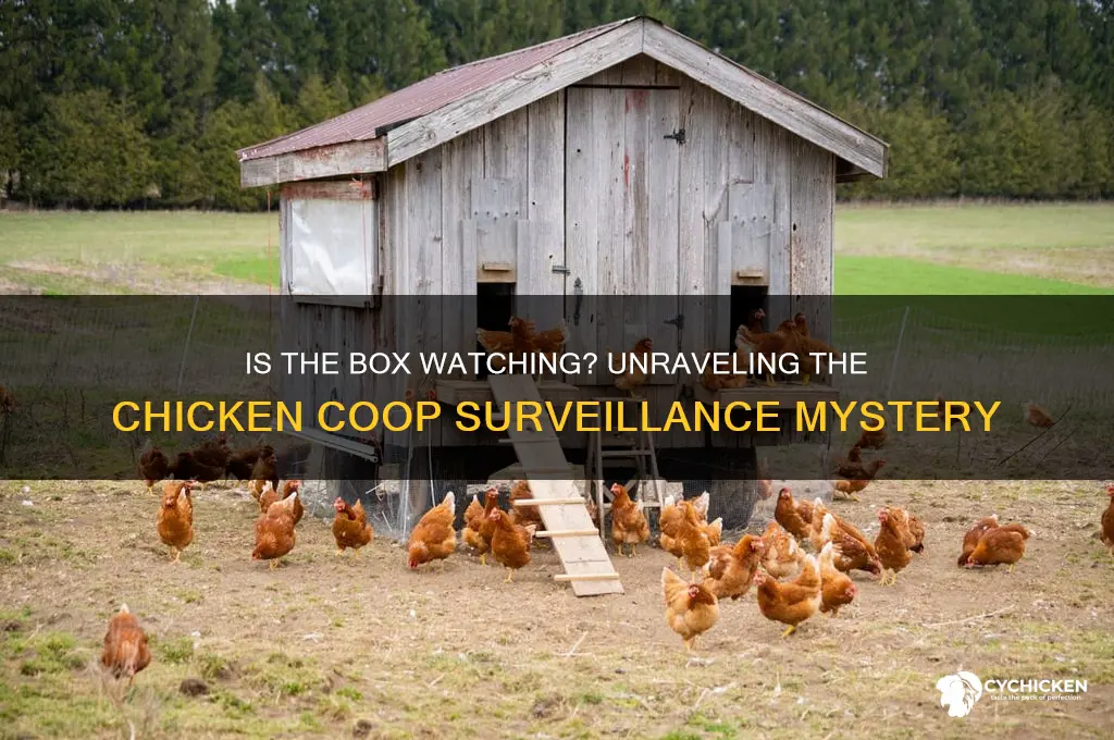 is the box watching the chicken coup