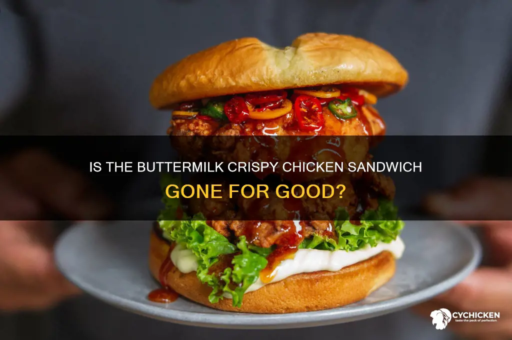is the buttermilk crispy chicken sandwich gone