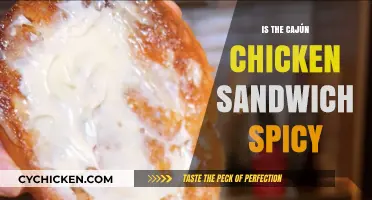 Is the Cajun Chicken Sandwich Spicy? A Flavorful Exploration