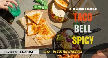 Is Taco Bell's Cantina Chicken Spicy? A Flavor Review
