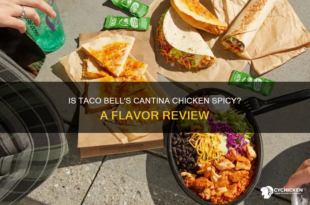 is the cantina chicken at taco bell spicy
