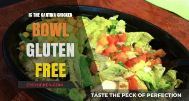 Is the Cantina Chicken Bowl Gluten-Free? A Detailed Answer