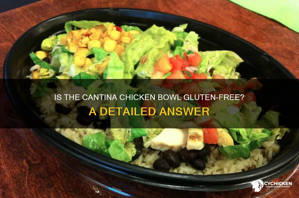 is the cantina chicken bowl gluten free