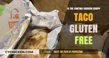 Is the Cantina Chicken Crispy Taco Gluten-Free? Find Out Now!
