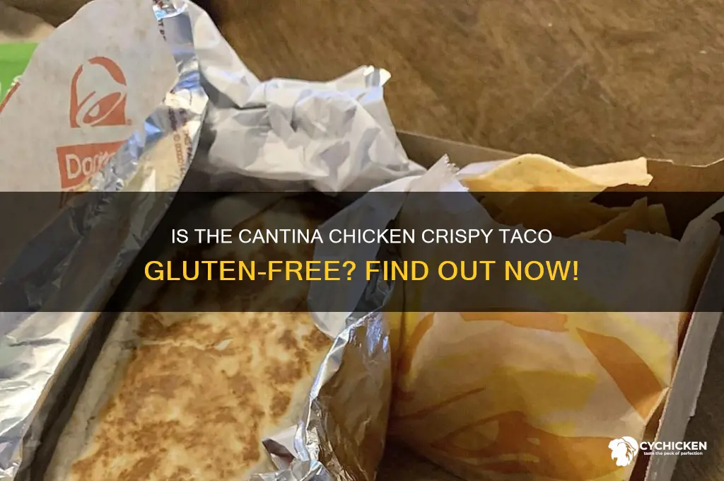 is the cantina chicken crispy taco gluten free