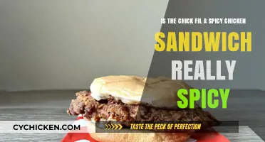 Is Chick-fil-A's Spicy Chicken Sandwich Truly Hot? Our Verdict