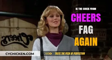 Is the Chick from Cheers Gay Again? Revisiting Sam and Diane's Legacy