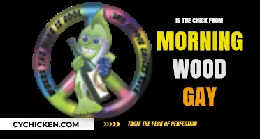 Is the Chick from Morning Wood Gay? Unraveling the Speculations