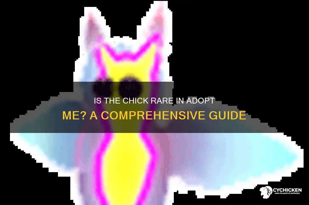 is the chick rare in adopt me