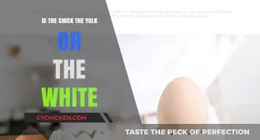 Chick Identity: Unraveling the Yolk vs. Egg White Mystery
