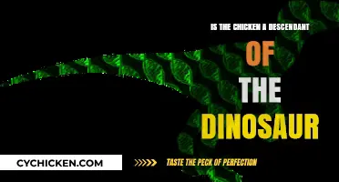 Are Chickens Modern Descendants of Ancient Dinosaurs? Exploring the Link