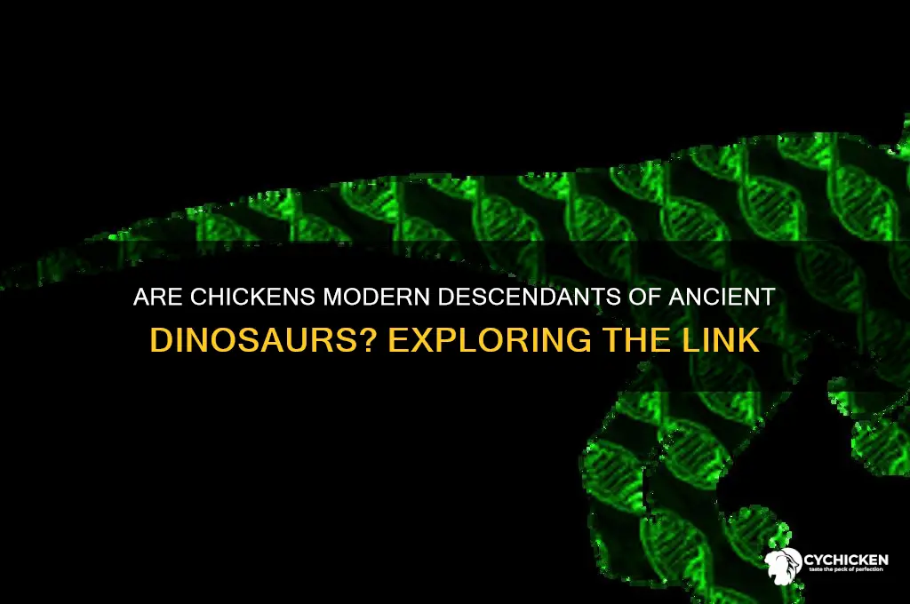 is the chicken a descendant of the dinosaur