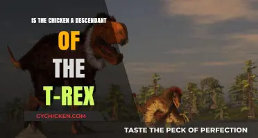 Chicken or T-Rex: Who's the Real Descendant?