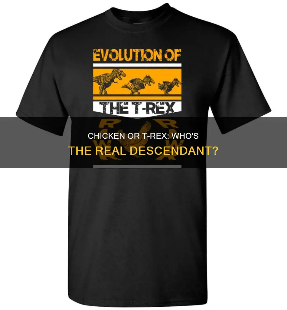 is the chicken a descendant of the t-rex