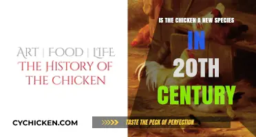 Chicken Evolution: A New Species in the 20th Century?