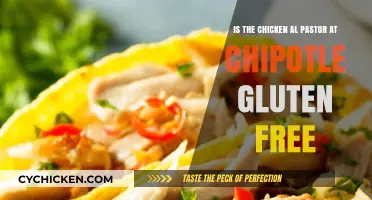 Gluten-Free Chicken Al Pastor: Chipotle's Safe Option