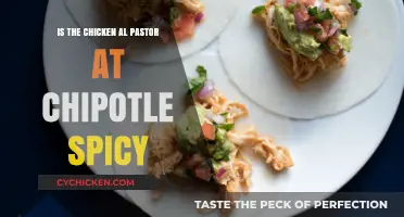 Chipotle's Chicken Al Pastor: Spicy Kick or Mild Delight?