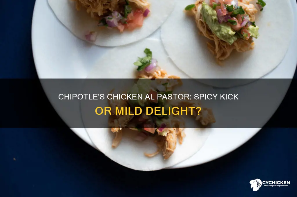 is the chicken al pastor at chipotle spicy
