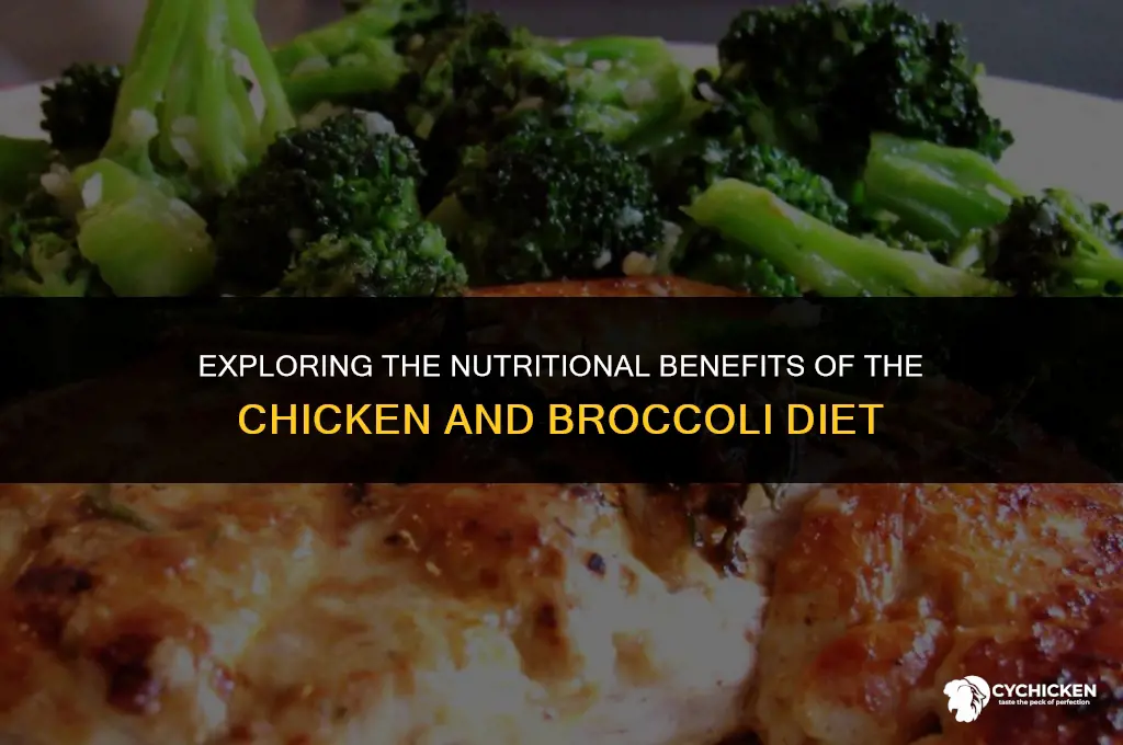is the chicken and broccoli diet healthy