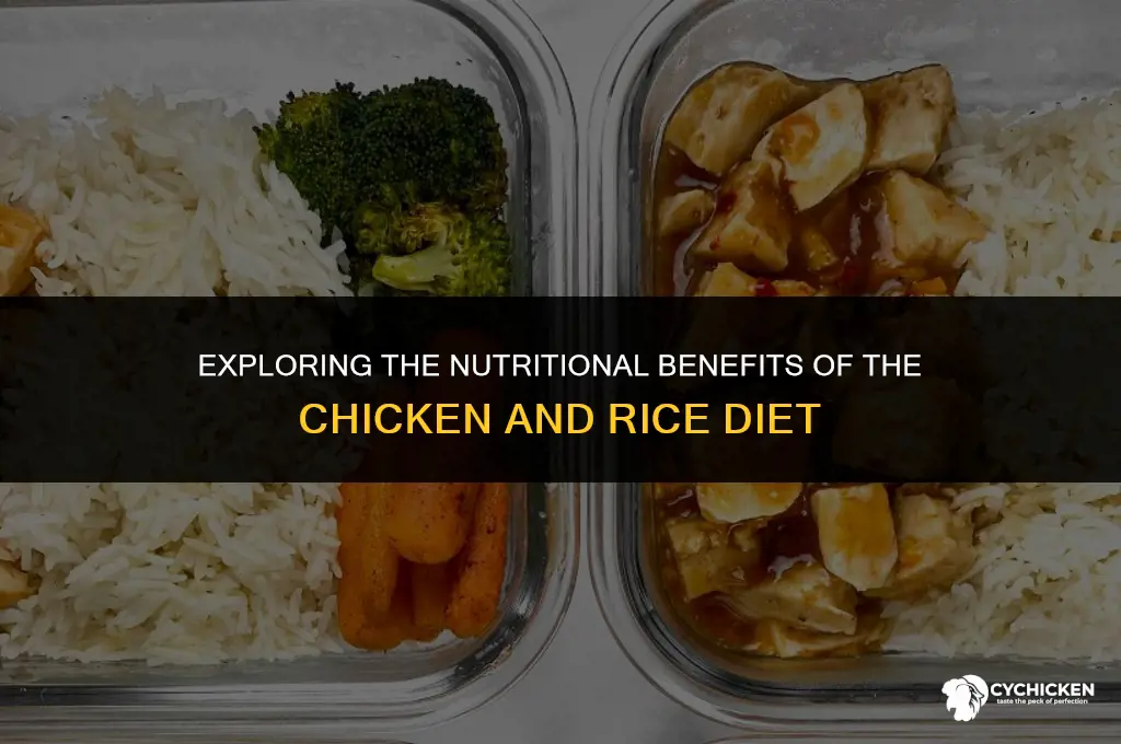 is the chicken and rice diet healthy