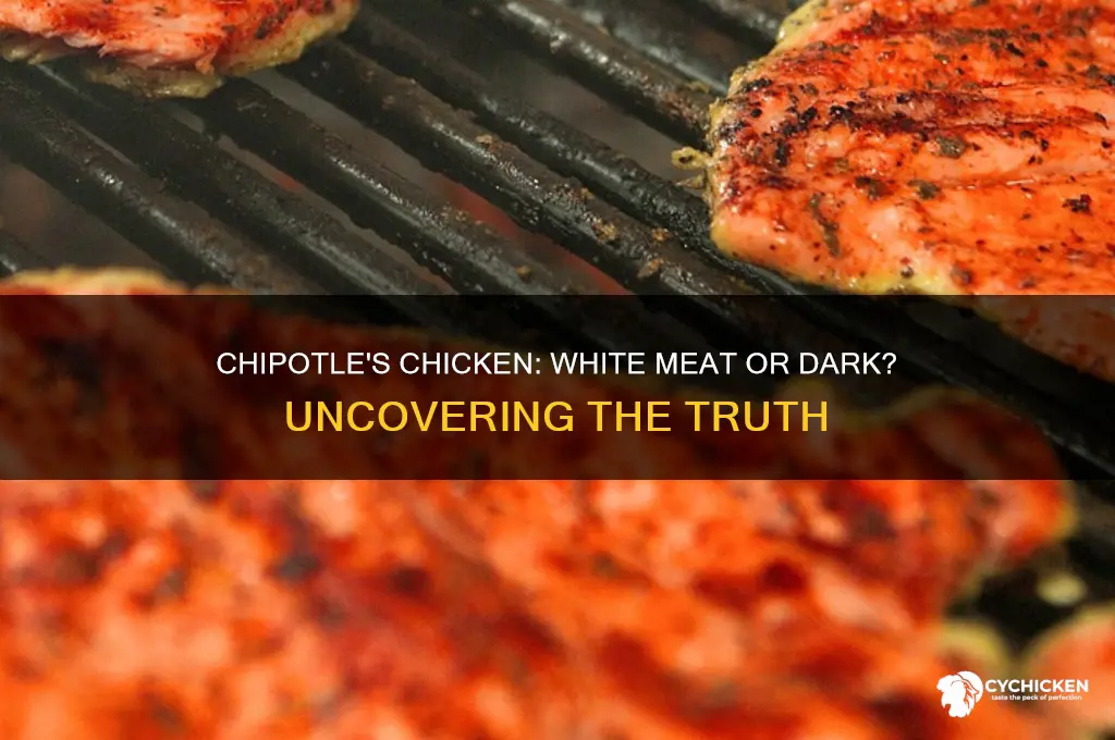 is the chicken at chipotle white meat