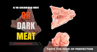 Is Chicken Back White or Dark Meat? Unraveling the Poultry Puzzle