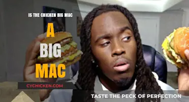 Is the Chicken Big Mac Truly a Big Mac? Exploring the Debate