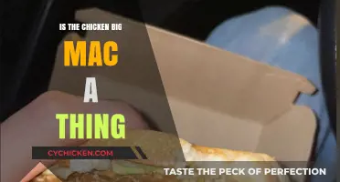 Is the Chicken Big Mac Real? Exploring McDonald's Menu Mystery