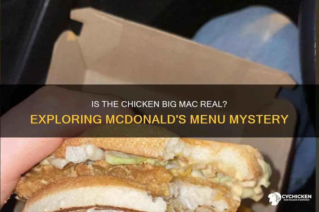 is the chicken big mac a thing
