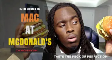 Is McDonald's Chicken Big Mac Worth the Hype? A Review