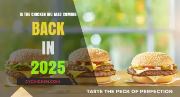Big Mac Chicken: Back on the Menu in 2025?