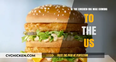 Chicken Big Mac: Coming to the US?