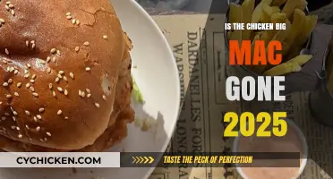 Is the Chicken Big Mac Discontinued in 2025? What We Know