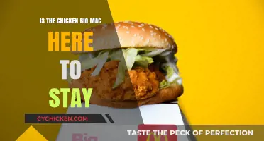 Is the Chicken Big Mac a Permanent Menu Fixture?