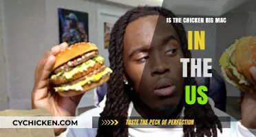 Is the Chicken Big Mac Available in the US?