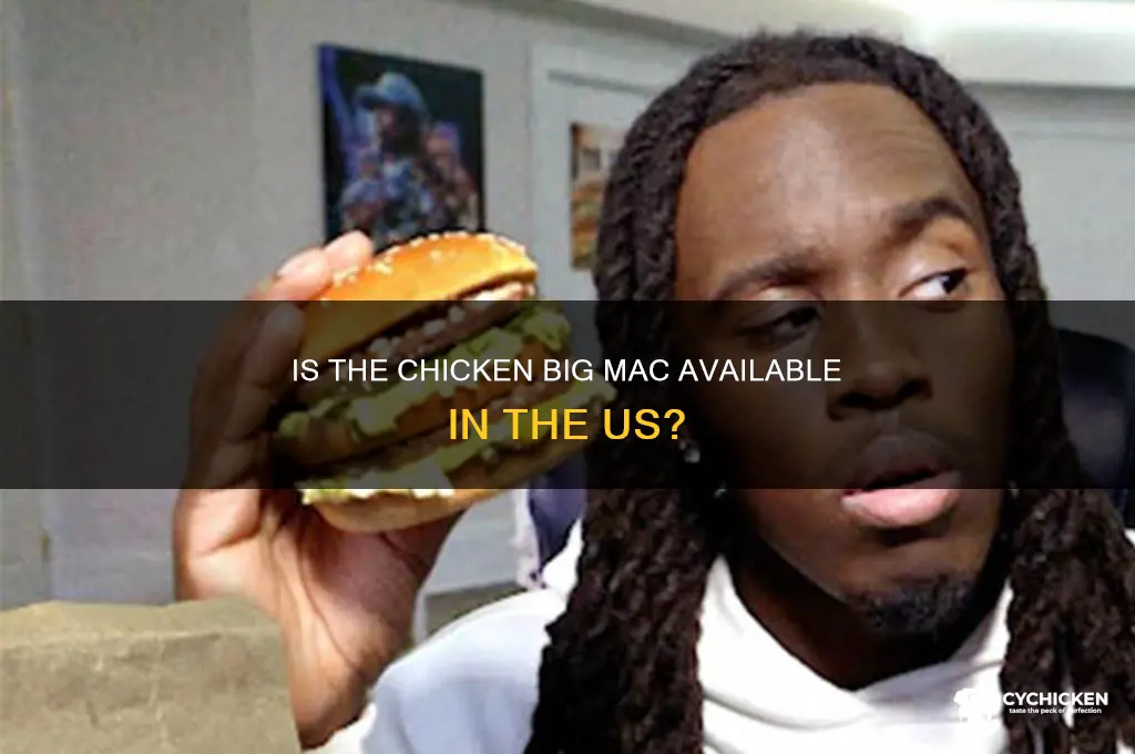 is the chicken big mac in the us