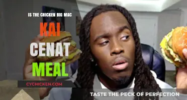 Is the Chicken Big Mac Kai Cenat Meal Worth the Hype?