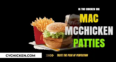 Are Chicken Big Mac and McChicken Patties the Same?