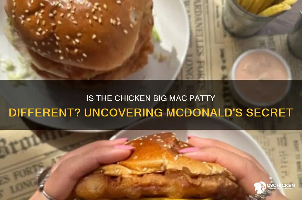 is the chicken big mac patty different