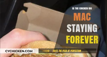 Is the Chicken Big Mac Here to Stay Permanently?