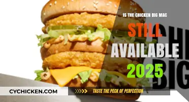 Chicken Big Mac 2025: Is It Still on McDonald's Menu?