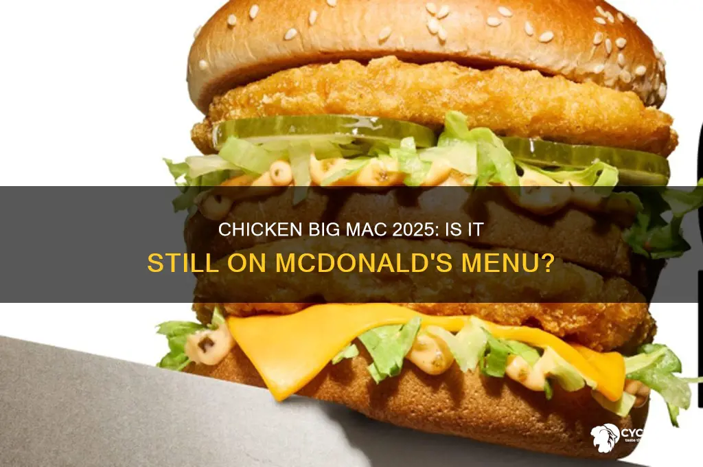is the chicken big mac still available 2025