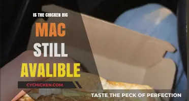 Is the Chicken Big Mac Still Available? Here's What You Need to Know