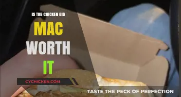 Is the Chicken Big Mac a Tasty Upgrade or Overhyped?