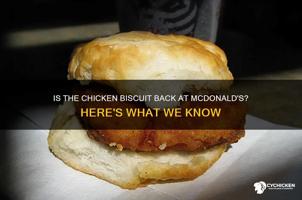 is the chicken biscuit back at mcdonald